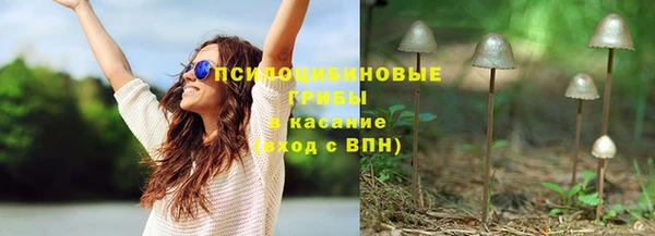 дживик Алексин