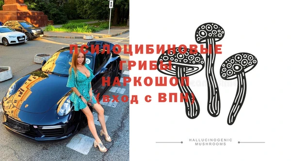 дживик Алексин