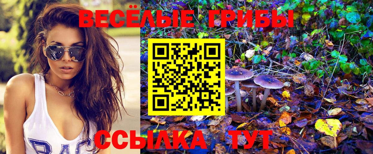 Галлюциногенные грибы GOLDEN TEACHER  Вход с VPN  Нефтекамск 